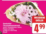 Aktuelles Gemischter Chrysanthemenstrauß Angebot bei EDEKA in Potsdam ab 4,99 €