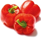 Aktuelle Paprika Angebote bei Netto mit dem Scottie in Cottbus Aktuelles Paprika rot Angebot bei Netto mit dem Scottie in Cottbus ab 1,79 €