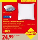 Aktuelle Matratze Angebote bei Lidl in Potsdam Aktuelles Premium-3-Kammer-Kopfkissen Angebot bei Lidl in Potsdam ab 24,99 €
