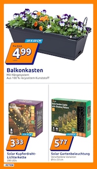 Blumentopf im Action Prospekt "Wochenangebote" mit 28 Seiten (Bielefeld)