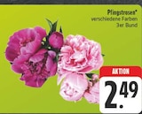 EDEKA - Pfingstrosen Angebot im Prospekt Pfingstrosen bei EDEKA im Prospekt "" für 2,49 €