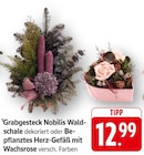 Grabgesteck Nobilis Waldschale dekoriert Angebote bei EDEKA Koblenz für 12,99 €
