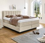 Aktuelle Bett Angebote bei porta Möbel in Braunschweig Aktuelles BOXSPRINGBETT Angebot bei porta Möbel in Braunschweig ab 1.999,00 €