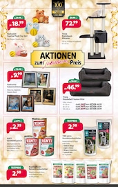 Kinderspielzeug im wohnstore Petzold Prospekt in Cottbus Aktueller wohnstore Petzold Prospekt mit Kinderspielzeug, "100 JAHRE PETZOLD", Seite 14