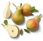 Aktuelle Birnen Angebote bei Kaufland in Duisburg Aktuelles Südafrik. Tafelbirnen rot Angebot bei Kaufland in Duisburg ab 1,49 €