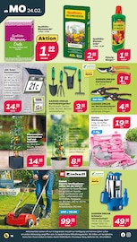 Aktueller Netto mit dem Scottie Prospekt mit Gartenerde, "Günstig. Besser. Für Dich.", Seite 16