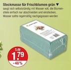 Steckmasse für Frischblumen grün von  im aktuellen V-Markt Prospekt für 1,79 €