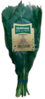EDEKA Zernien - XXL Kräuterbund Dill, Minze, Petersilie oder Koriander Angebot im Prospekt XXL Kräuterbund Dill, Minze, Petersilie oder Koriander bei EDEKA im Zernien Prospekt für 1,79 €