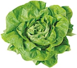 Kopfsalat im Angebot bei REWE in Köln Kopfsalat Angebote von REWE Regional bei REWE Köln für 0,85 €