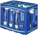Ileburger Mineralwasser im Angebot bei REWE in Halle Ileburger Mineralwasser Angebote von Sachsen Quelle bei REWE Halle für 4,79 €