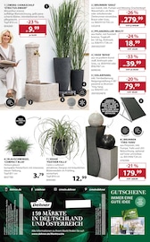 Smartphone im Dehner Garten-Center Prospekt in Bornheim Aktueller Dehner Garten-Center Prospekt mit Smartphone, "AKTUELLE ANGEBOTE", Seite 16