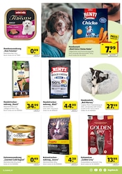 Aktueller Hagebaumarkt Prospekt mit Hundefutter, "VERSCHÖNERE MIT UNS DEINEN GARTEN", Seite 15