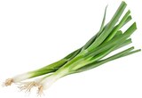 Aktuelles Lauchzwiebeln Angebot bei REWE in Oldenburg ab 0,55 €