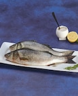 Bar d'aquaculture - Hyper U à Périgueux Bar d'aquaculture en promo chez Hyper U Périgueux à 4,50 €