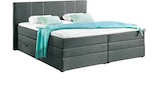 Boxspringbett Vegas für 699,99 € bei SB Möbel Boss im Angebot Boxspringbett Vegas im aktuellen SB Möbel Boss Prospekt
