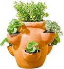 Erdbeer- und Kräutertopf "Giardino" im Angebot bei Hellweg in Beckum Erdbeer- und Kräutertopf "Giardino" Angebote von HAVESON bei Hellweg Beckum für 39,99 €