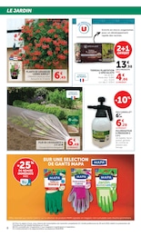 Offre Plante Verte dans le catalogue U Express du moment à la page 8