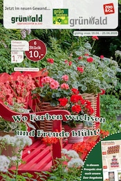 Garten-Center Nordharz GmbH & Co. KG Prospekt für Sarstedt: "Wo Farben wachsen und Freude blüht!", 16 Seiten, 18.04.2026 - 25.04.2026