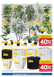 Blumentopf Angebot im aktuellen Rusta Prospekt auf Seite 4
