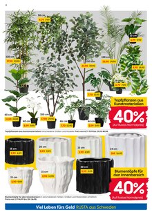 Zimmerpflanzen im aktuellen Rusta Prospekt (Essen) Zimmerpflanzen im Rusta Prospekt "Willkommen zu Hause in Schweden!" mit 12 Seiten (Essen)