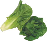 Salatherzen im aktuellen V-Markt Prospekt für 0,99 €