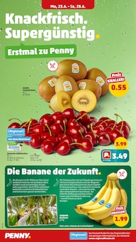 Penny Prospekt der KW 25 "Wer günstig will, muss Penny." Aktueller Penny Prospekt "Wer günstig will, muss Penny." Seite 2 von 37 Seiten