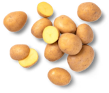 Speisekartoffeln im Angebot bei Kaufland in Sindelfingen Speisekartoffeln Angebote von Bioland bei Kaufland Sindelfingen für 1,79 €