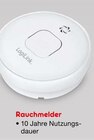Rauchmelder von LogiLink im aktuellen Netto Marken-Discount Prospekt für 9,99 €