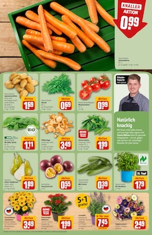 Pflanzen im REWE Prospekt "Dein Markt" mit 28 Seiten (Berlin)