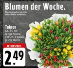 Tulpen Angebote bei EDEKA Leverkusen für 2,49 €