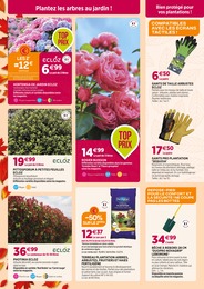 Prix et réduction Hortensia dans le prospectus Delbard en cours Offre Hortensia dans le catalogue Delbard du moment à la page 4