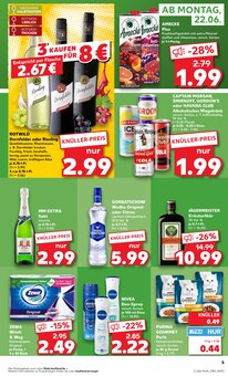 Cola im aktuellen Kaufland Prospekt (Freiberg) Cola im Kaufland Prospekt "Hier bin ich richtig" mit 67 Seiten (Freiberg)