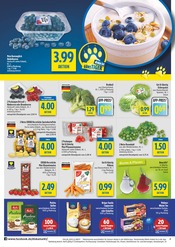 Gemüse im diska Prospekt in Erlangen Aktueller diska Prospekt mit Gemüse, "alles an deinem ort.", Seite 4