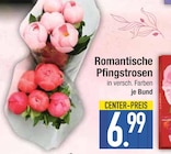 Romantische Pfingstrosen  im aktuellen EDEKA Prospekt für 6,99 €