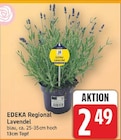 Aktuelle Lavendel Angebote bei E center in Berlin Aktuelles Lavendel Angebot bei E center in Berlin ab 2,49 €