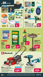 Benzinrasenmäher im Netto mit dem Scottie Prospekt in Cottbus Aktueller Netto mit dem Scottie Prospekt mit Benzinrasenmäher, "Günstig. Besser. Für Dich.", Seite 25