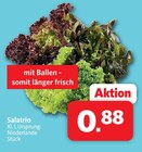 Aktuelle Salat Angebote bei Markant Nordwest in Bielefeld Aktuelles Salatrio Angebot bei Markant Nordwest in Bielefeld ab 0,88 €