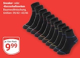GLOBUS - Sneaker- oder Kurzschaftsocken Angebot im Prospekt Sneaker- oder Kurzschaftsocken bei GLOBUS im Prospekt "" für 9,99 €