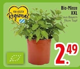 Bio-Minze XXL  im aktuellen EDEKA Prospekt für 2,49 €