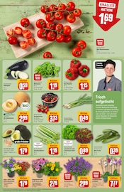 Paprika im REWE Prospekt in Wetzlar Aktueller REWE Prospekt mit Paprika, "Dein Markt", Seite 7