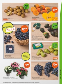Obst im tegut Prospekt "tegut… gute Lebensmittel" mit 29 Seiten (München)