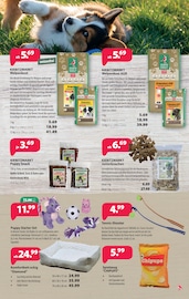 Aktueller Kiebitzmarkt Prospekt mit Spielwaren, "100 Jahre Petzold", Seite 5