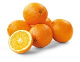 Orangen Angebote von REWE Bio bei REWE Bensheim für 2,49 €