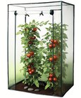 XXL-Gewächshaus für Tomatenpflanzen Angebote von Top Flora bei Wreesmann Bremerhaven für 17,99 €