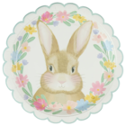 Lot de 10 assiettes en carton dans le catalogue B&M