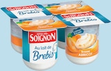 Yaourt Brassé au Lait de Brebis Abricot - Soignon - Intermarché Hyper Yaourt Brassé au Lait de Brebis Abricot - Soignon à 1,20 € dans le catalogue Intermarché Hyper