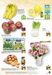 Pflanzen im E center Prospekt in Bruchsal Aktueller E center Prospekt mit Pflanzen, "Aktuelle Angebote", Seite 3