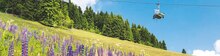 Netto Marken-Discount Neudorf - SACHSEN – Waltersdorf SACHSEN – Waltersdorf Angebot bei Netto Marken-Discount Neudorf im Prospekt "Reisen … zu Netto-Preisen!"