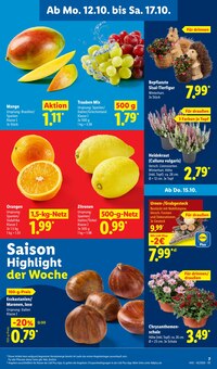 Pflanzen im aktuellen Lidl Prospekt (Jena) Pflanzen im Lidl Prospekt "LIDL LOHNT SICH" mit 73 Seiten (Jena)