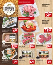 Grill im famila Nordost Prospekt in Kiel Aktueller famila Nordost Prospekt mit Grill, "besser als gut!", Seite 2